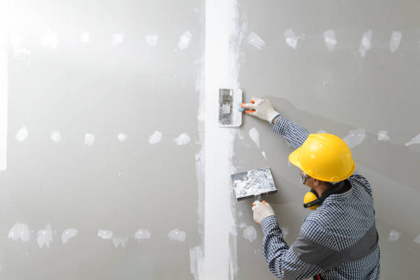 Best Forensic Mold Investigation  in Valle Vista, AZ
