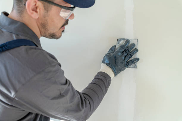 Best Emergency Mold Remediation  in Valle Vista, AZ