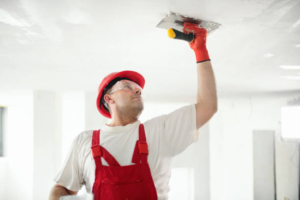 Best HVAC Mold Inspection and Cleaning  in Valle Vista, AZ