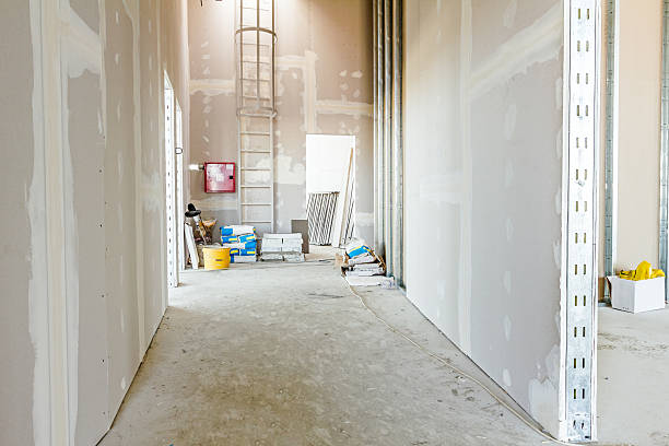 Best Mold Odor Removal Services  in Valle Vista, AZ