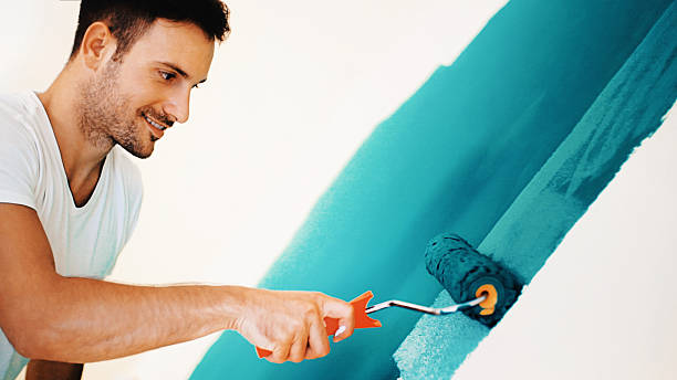 Professional Mold Removal in Valle Vista, AZ